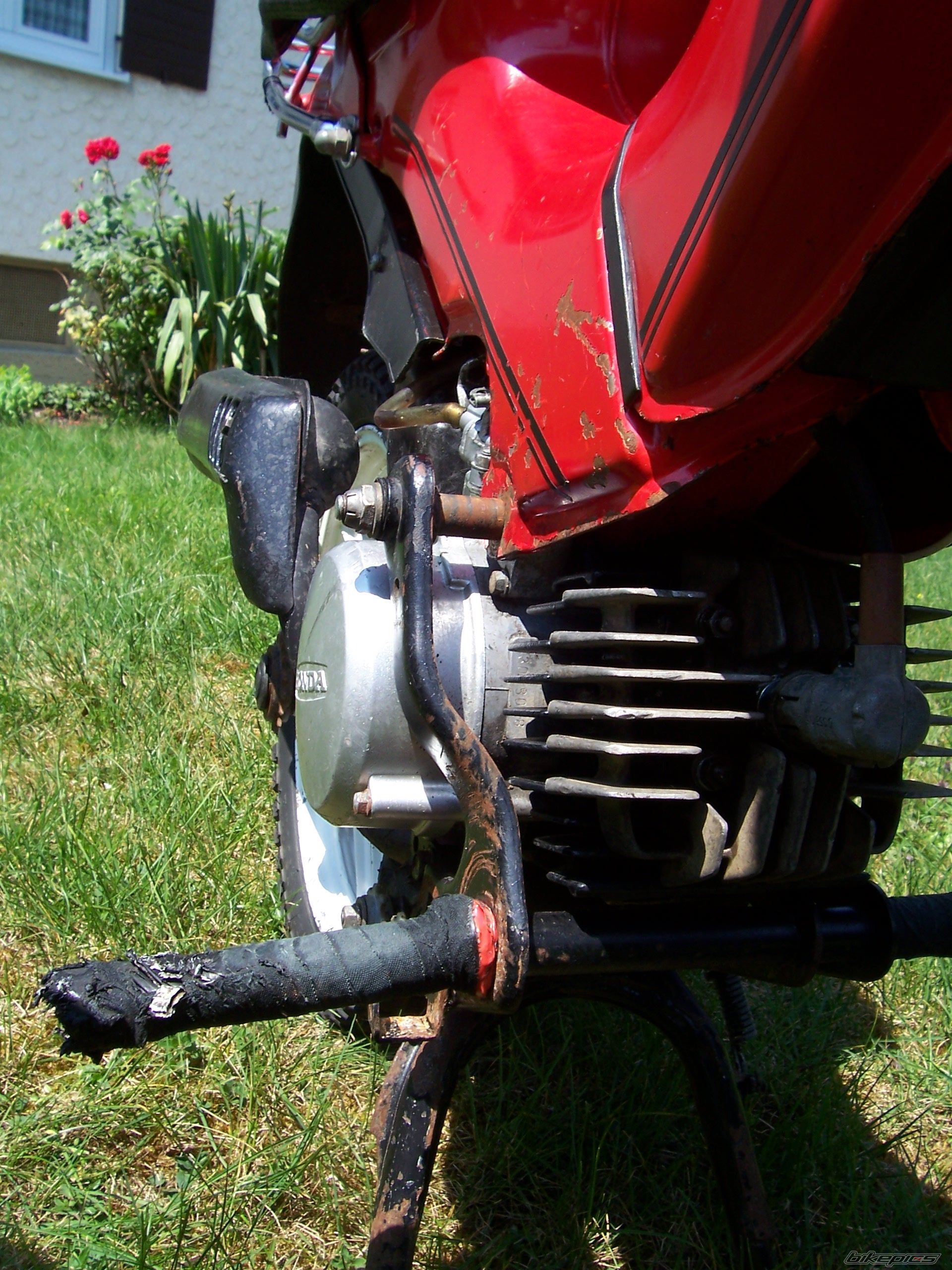 1986 HONDA PXR 50 | Picture 1343015 motorcycle photo