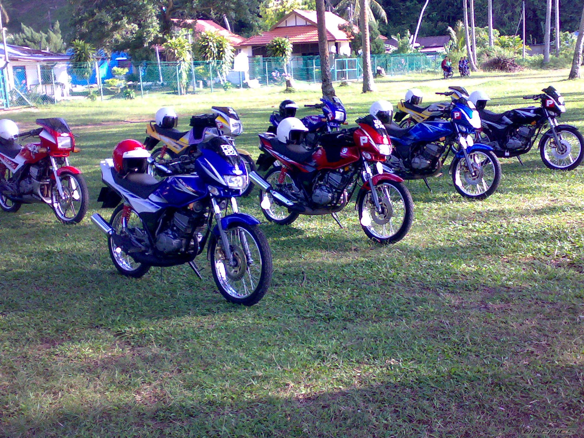 2008 YAMAHA RXZ 135 | Picture 1343028 motorcycle photo