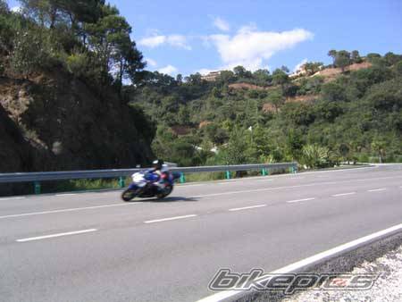 2003 HONDA CBR 900 | Picture 134306 motorcycle photo