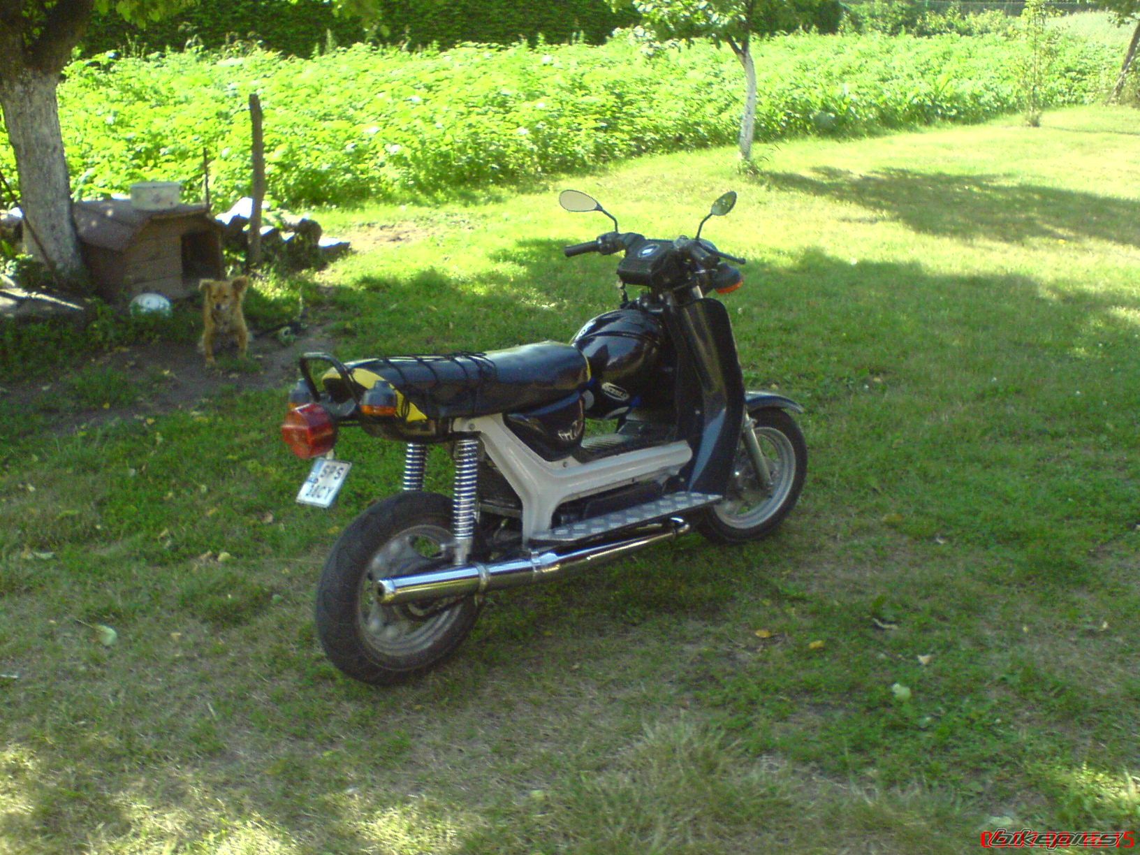 2009 SIMSON SR 80 | Picture 1343154 motorcycle photo