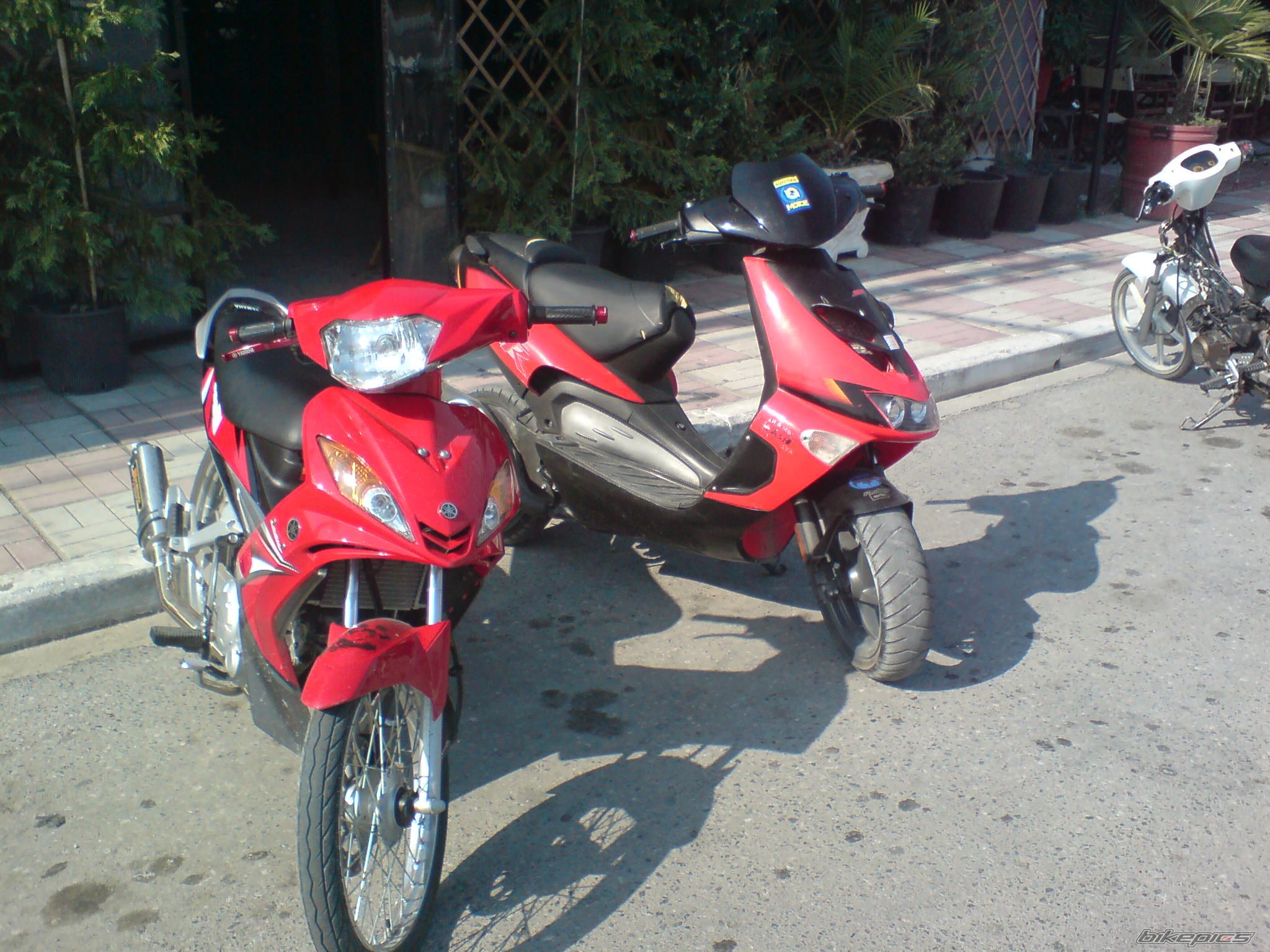 2008 APRILIA SR 50 | Picture 1343155 motorcycle photo
