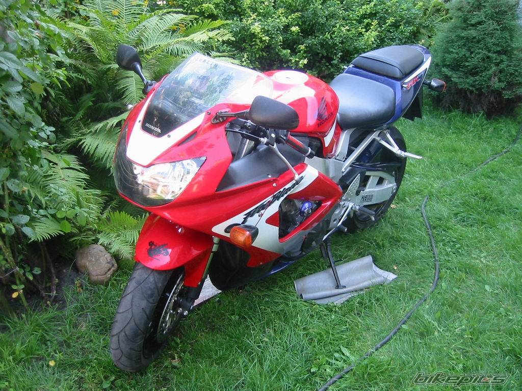 2001 HONDA CBR 900 | Picture 134329 motorcycle photo