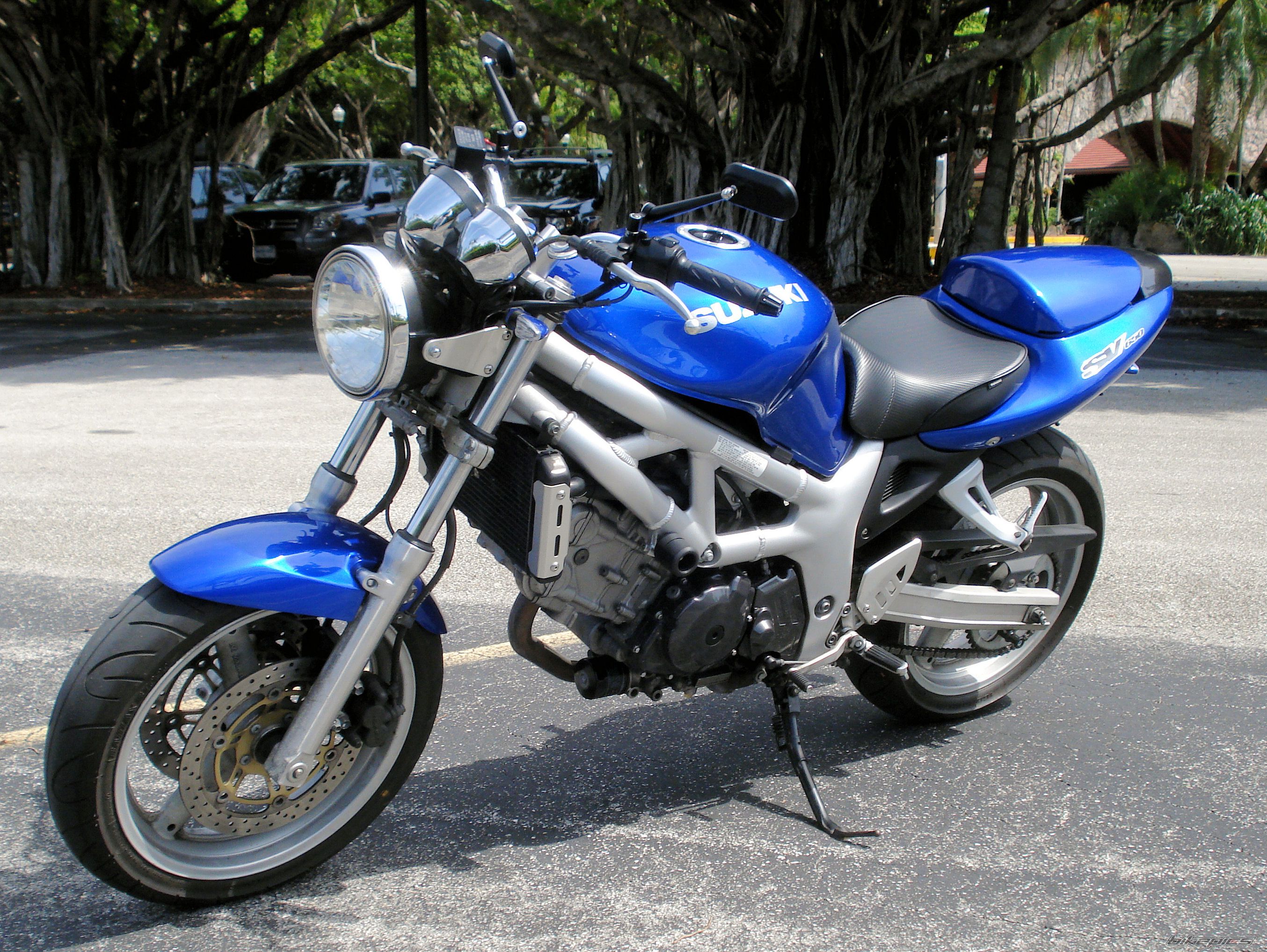 2001 SUZUKI SV 650 | Picture 1343866 motorcycle photo