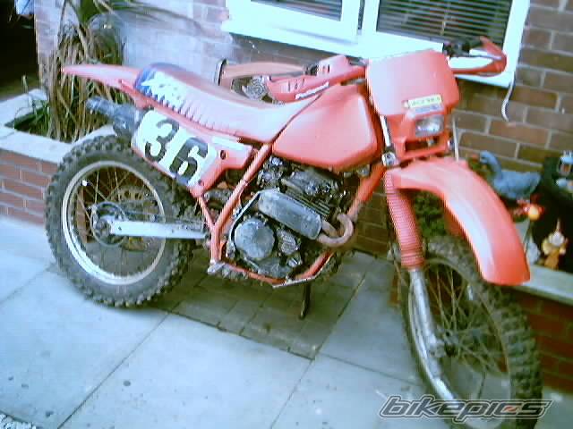 1984 HONDA XR 250 | Picture 134402 motorcycle photo