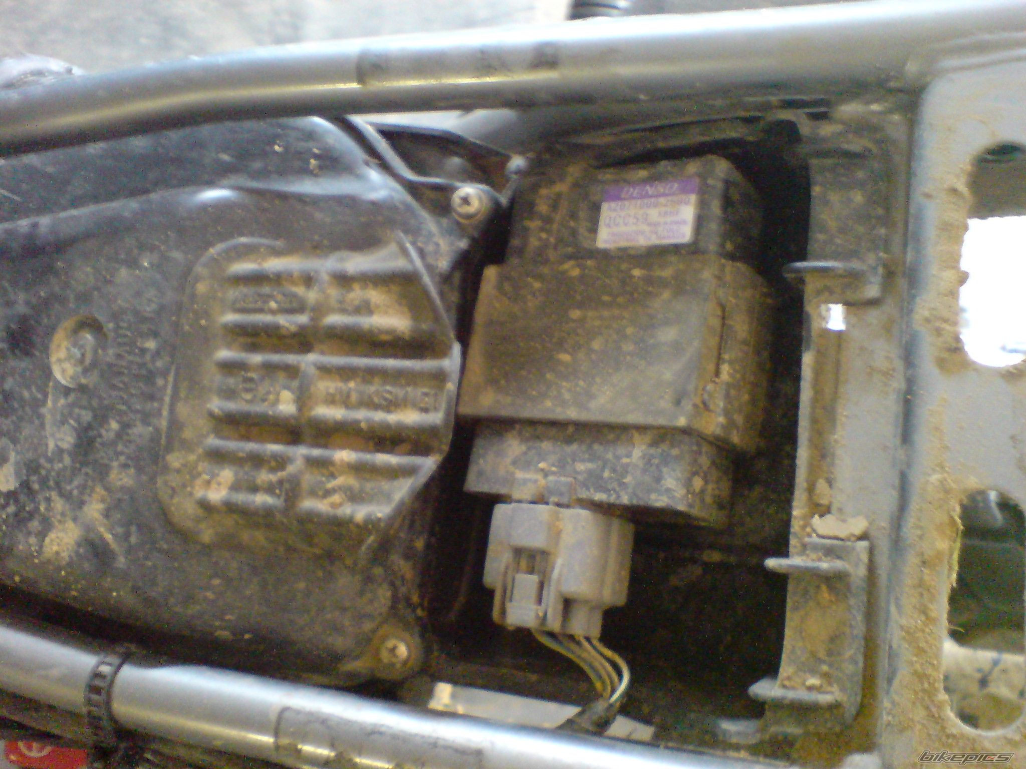 2008 HONDA XR 125 | Picture 1344348 motorcycle photo