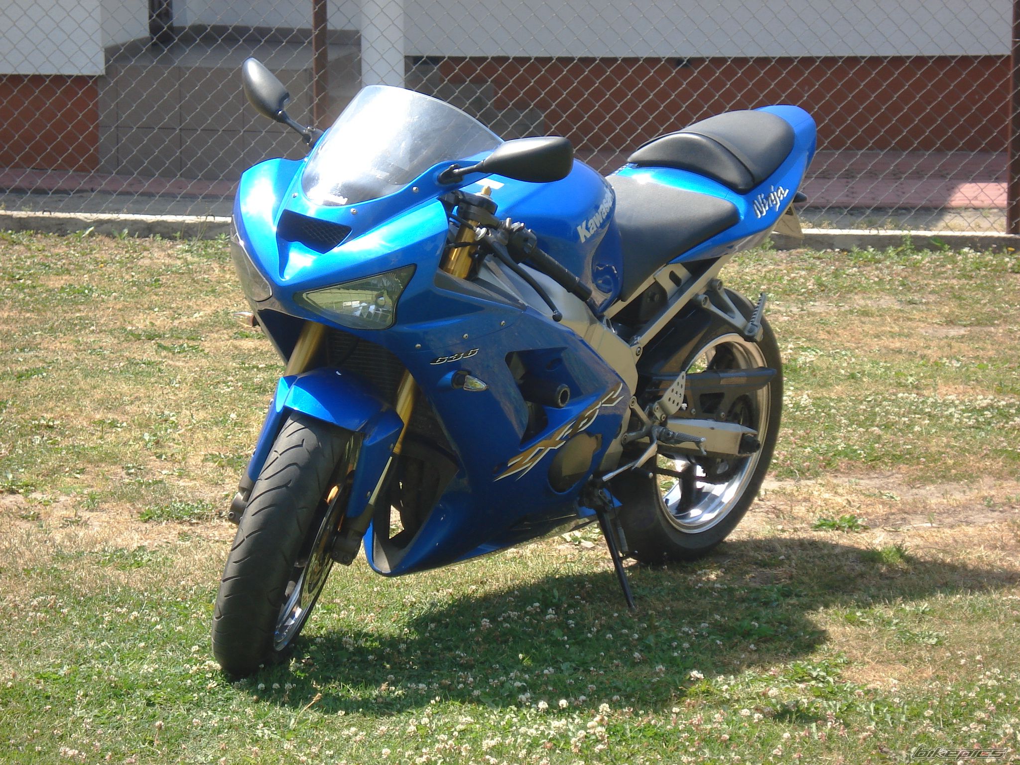 2003 KAWASAKI ZX 6R | Picture 1344366 motorcycle photo