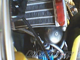 2008 HONDA XRM 110 | Picture 1344508 motorcycle photo