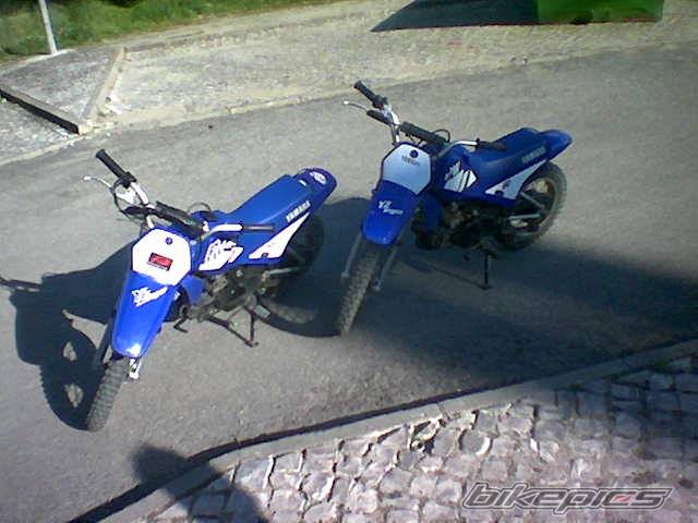 2000 YAMAHA PW 80 | Picture 134484 motorcycle photo