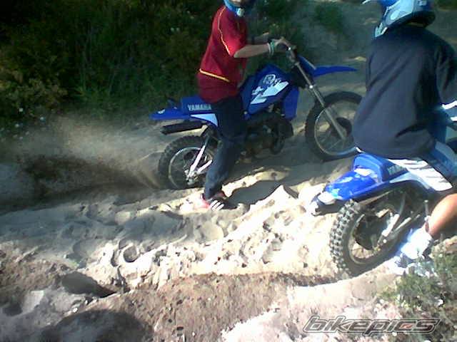 2000 YAMAHA PW 80 | Picture 134488 motorcycle photo