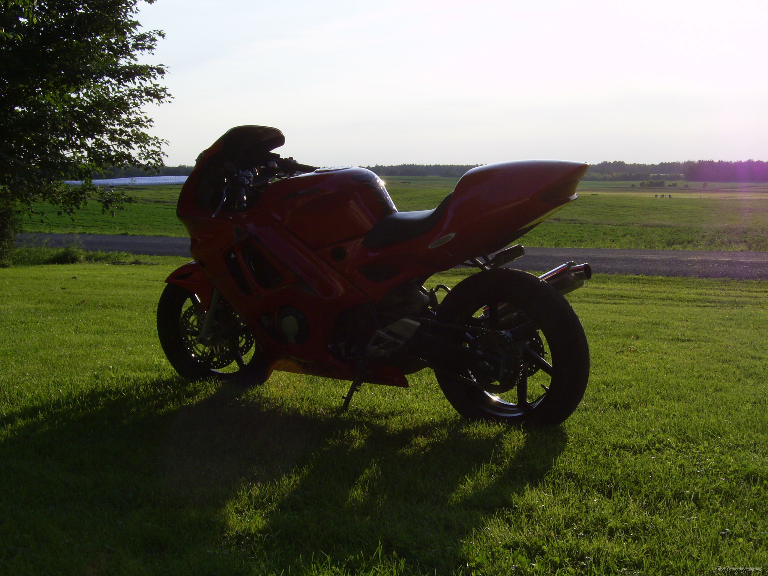 1998 HONDA CBR 600 | Picture 1345114 motorcycle photo