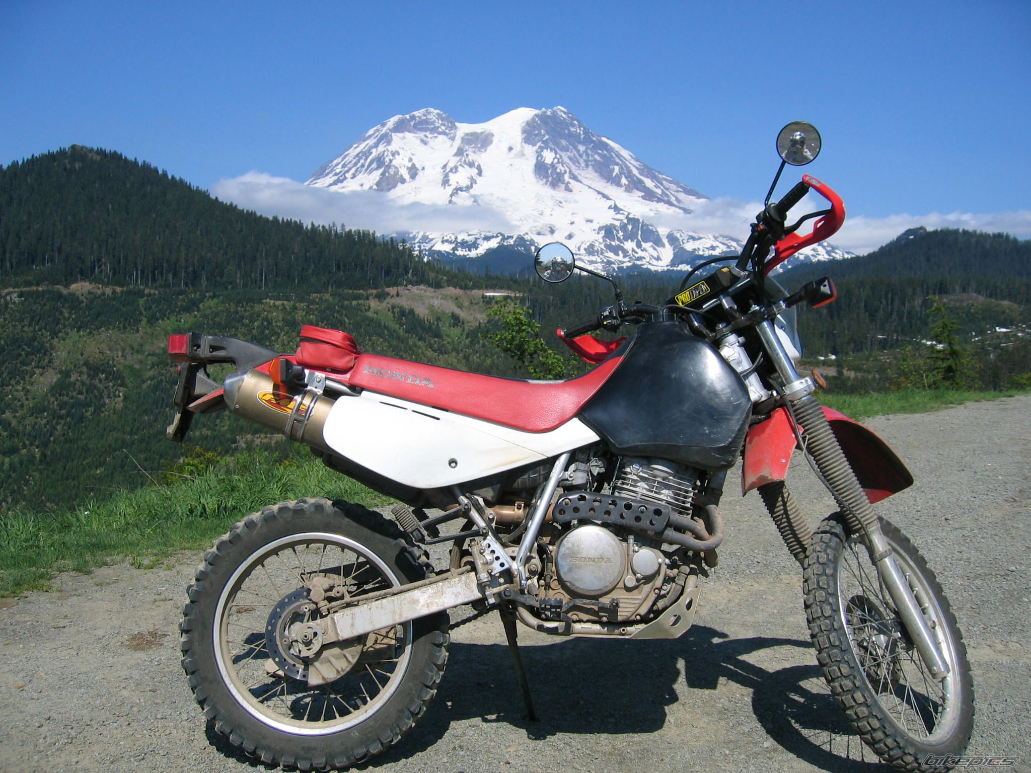 2008 HONDA XR 650 | Picture 1346614 motorcycle photo