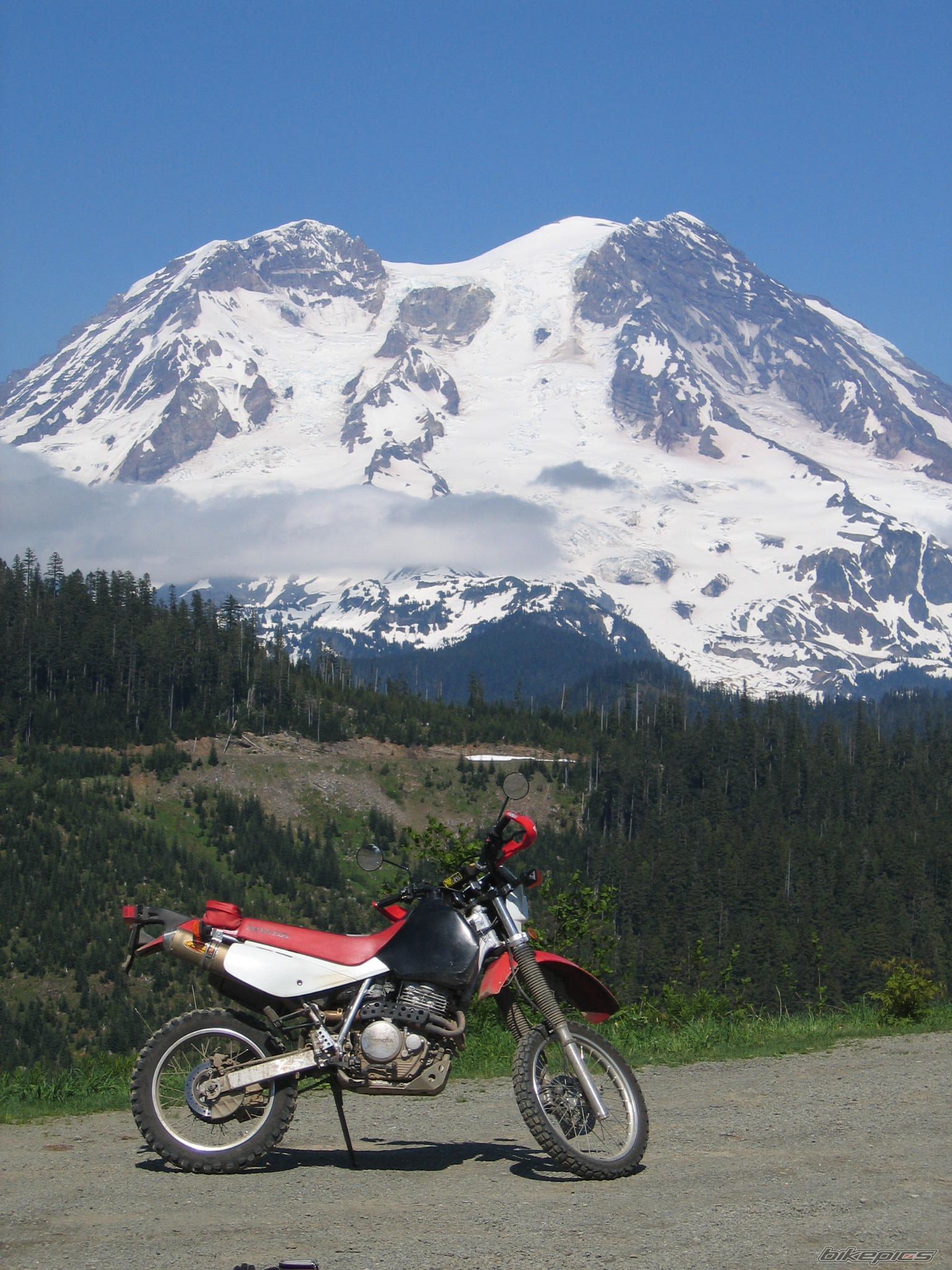 2008 HONDA XR 650 | Picture 1346624 motorcycle photo