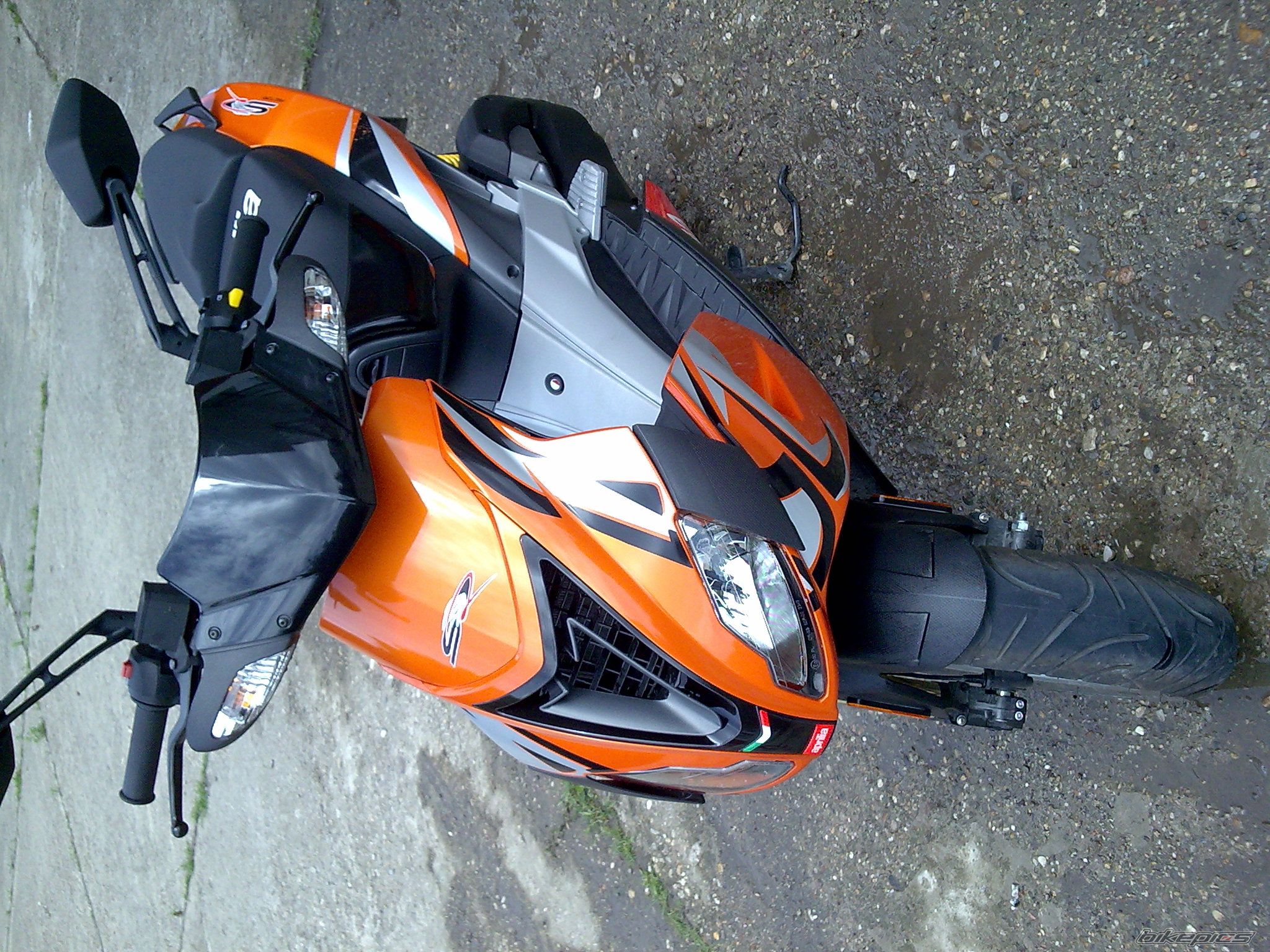 2008 APRILIA SR 50 | Picture 1346724 motorcycle photo