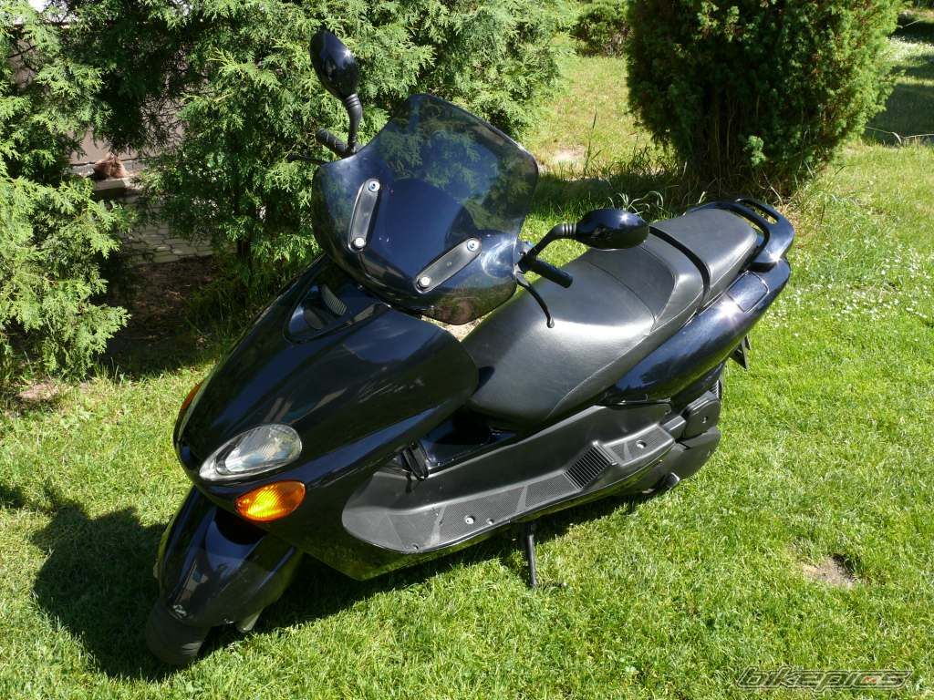 2000 YAMAHA MAJESTY 125 | Picture 1346801 motorcycle photo