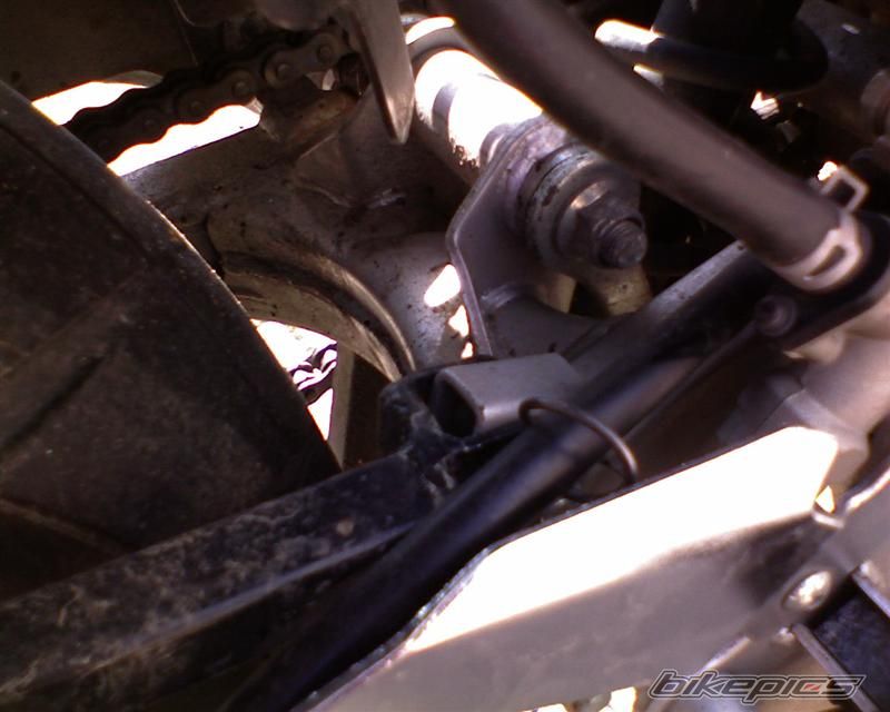 1999 SUZUKI GS 500 | Picture 1346852 motorcycle photo