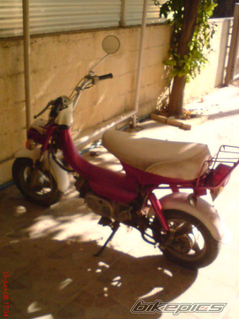 2008 HONDA DIO ZX | Picture 1347033 motorcycle photo