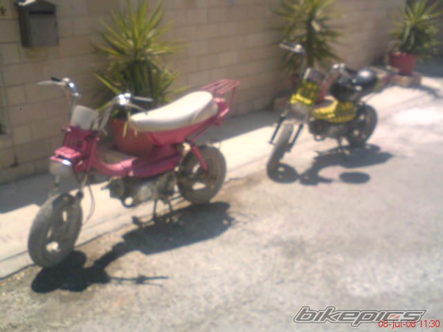 2008 HONDA DIO ZX | Picture 1347035 motorcycle photo