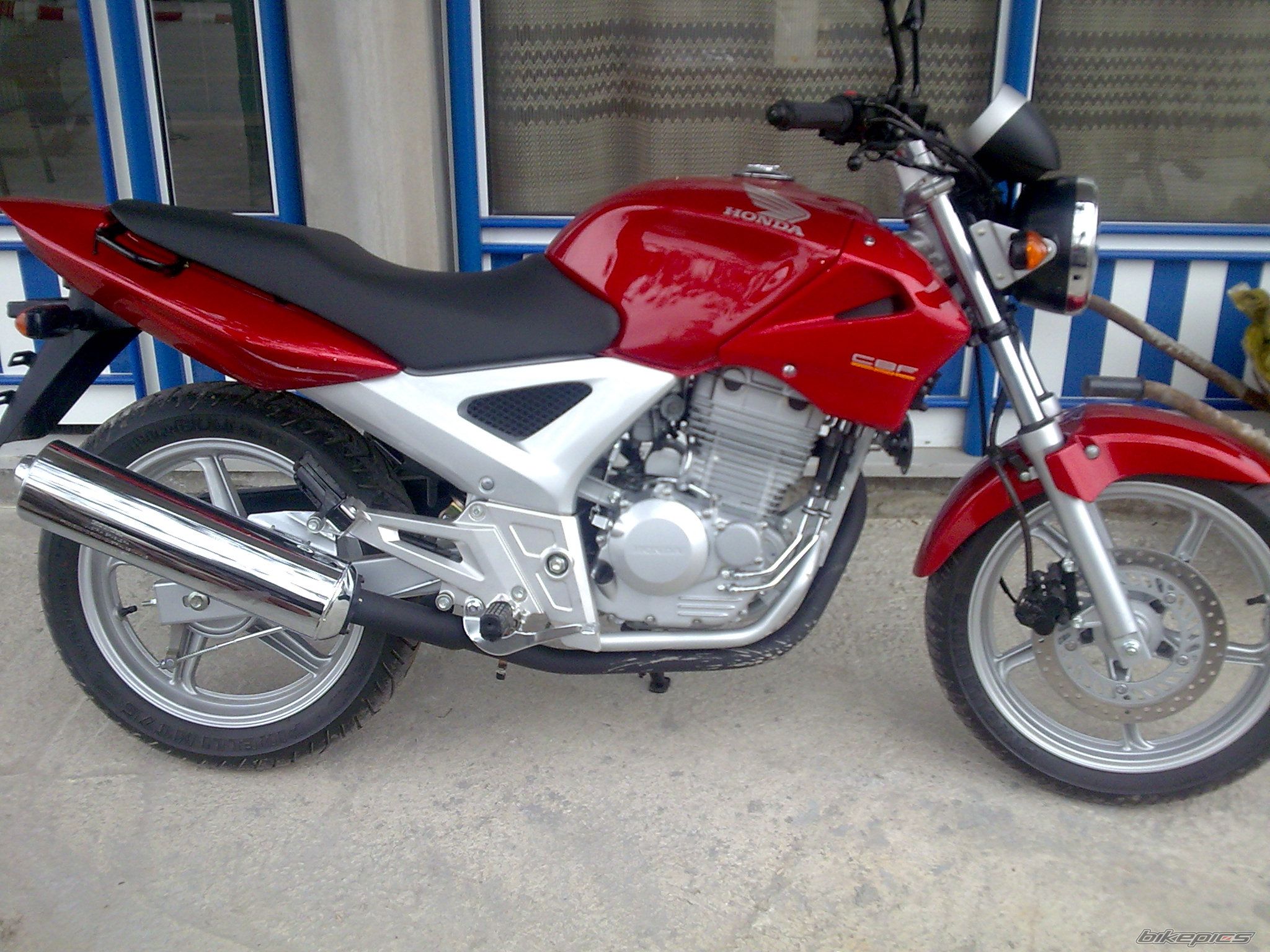 2006 HONDA CBF 250 | Picture 1347478 motorcycle photo