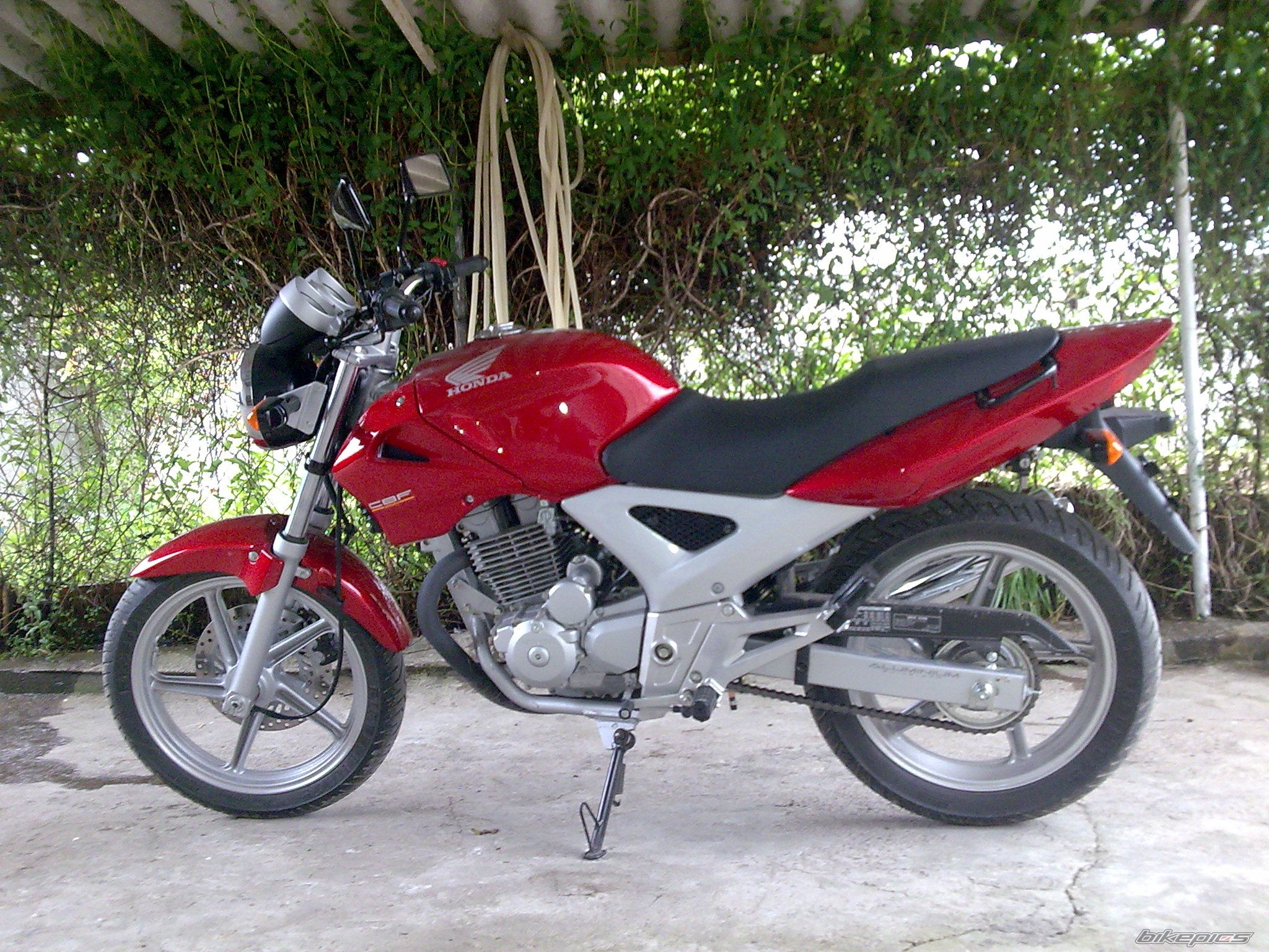 2006 HONDA CBF 250 | Picture 1347483 motorcycle photo