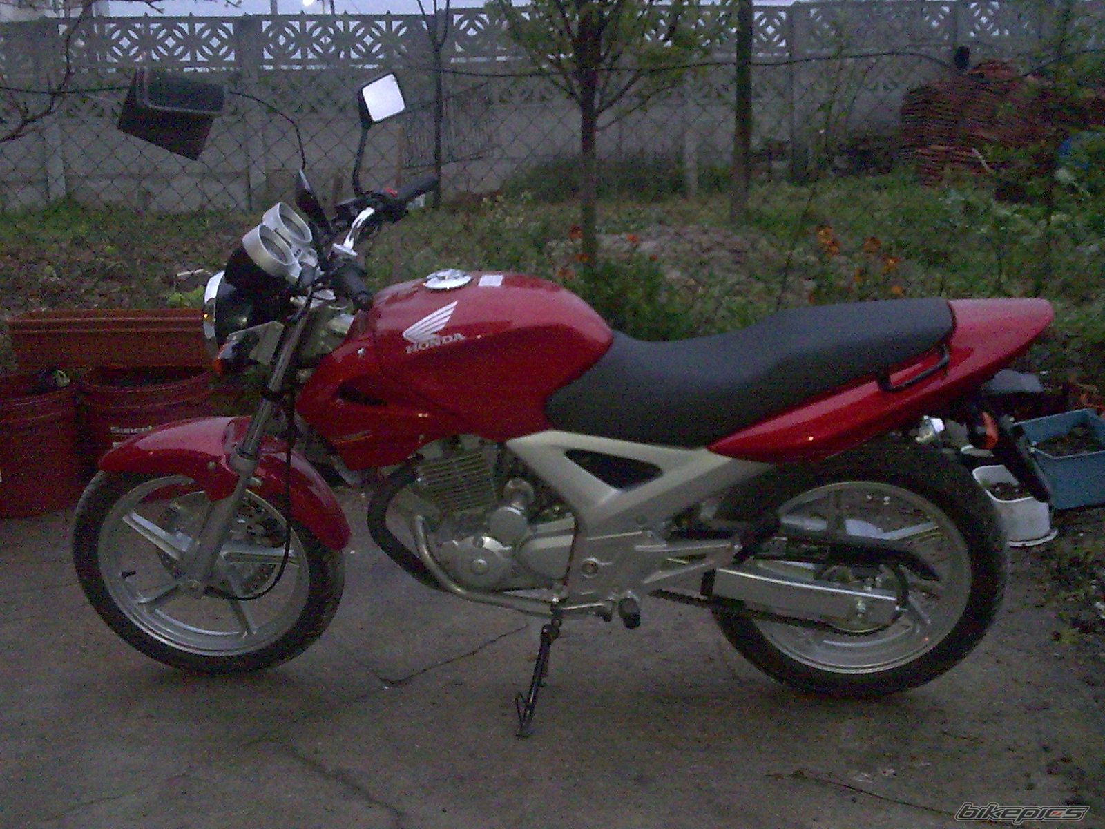 2006 HONDA CBF 250 | Picture 1347488 motorcycle photo