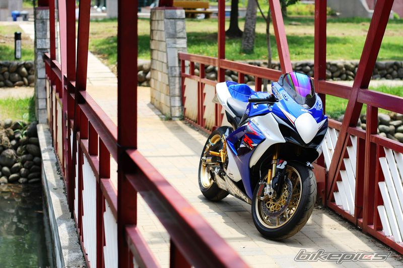 2008 SUZUKI GSX R 1000 | Picture 1347981 motorcycle photo