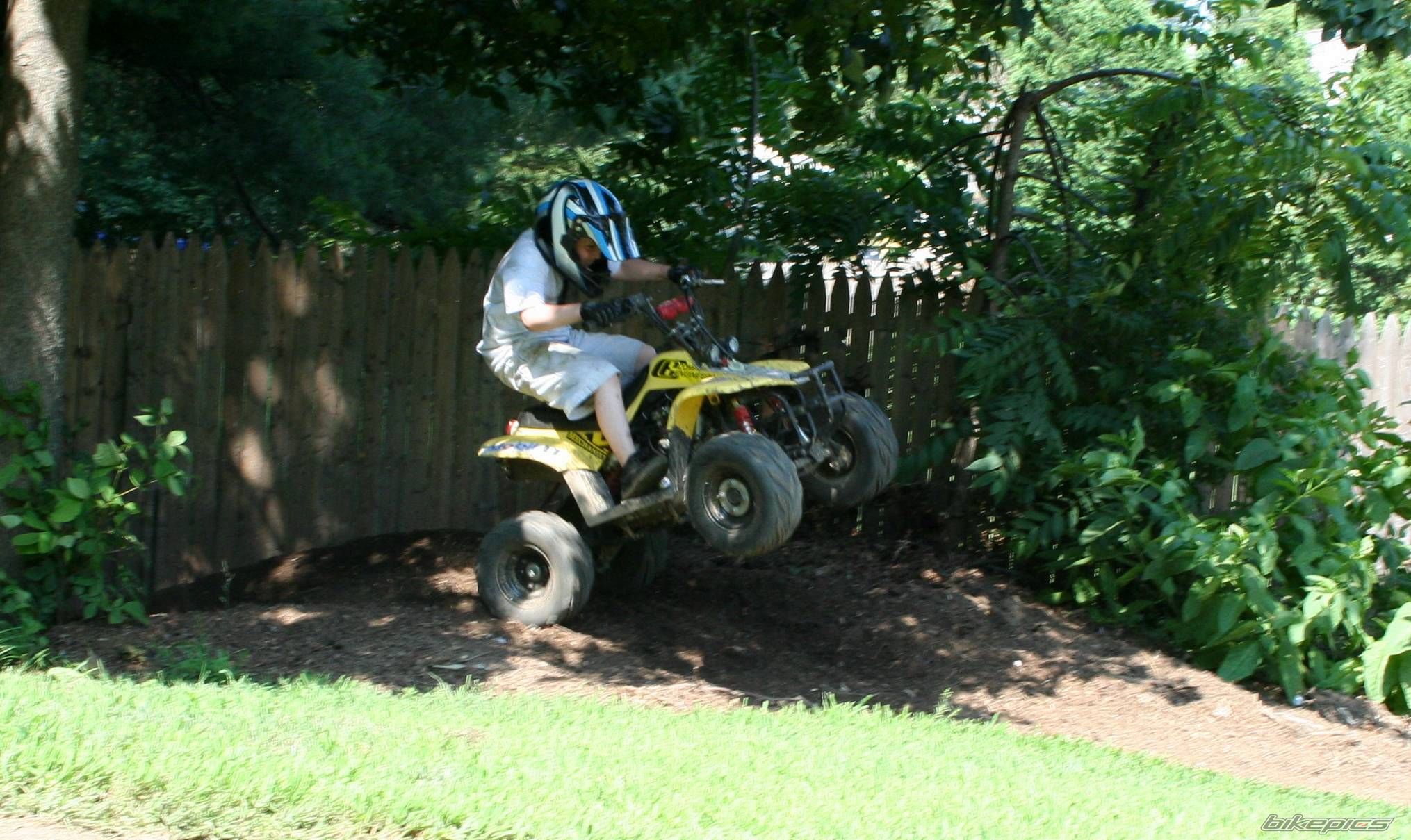 2005 KAZUMA FALCON 110 | Picture 1348110 motorcycle photo