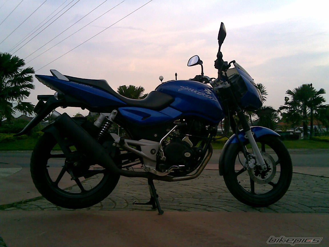 2008 BAJAJ PULSAR 180 | Picture 1348385 motorcycle photo