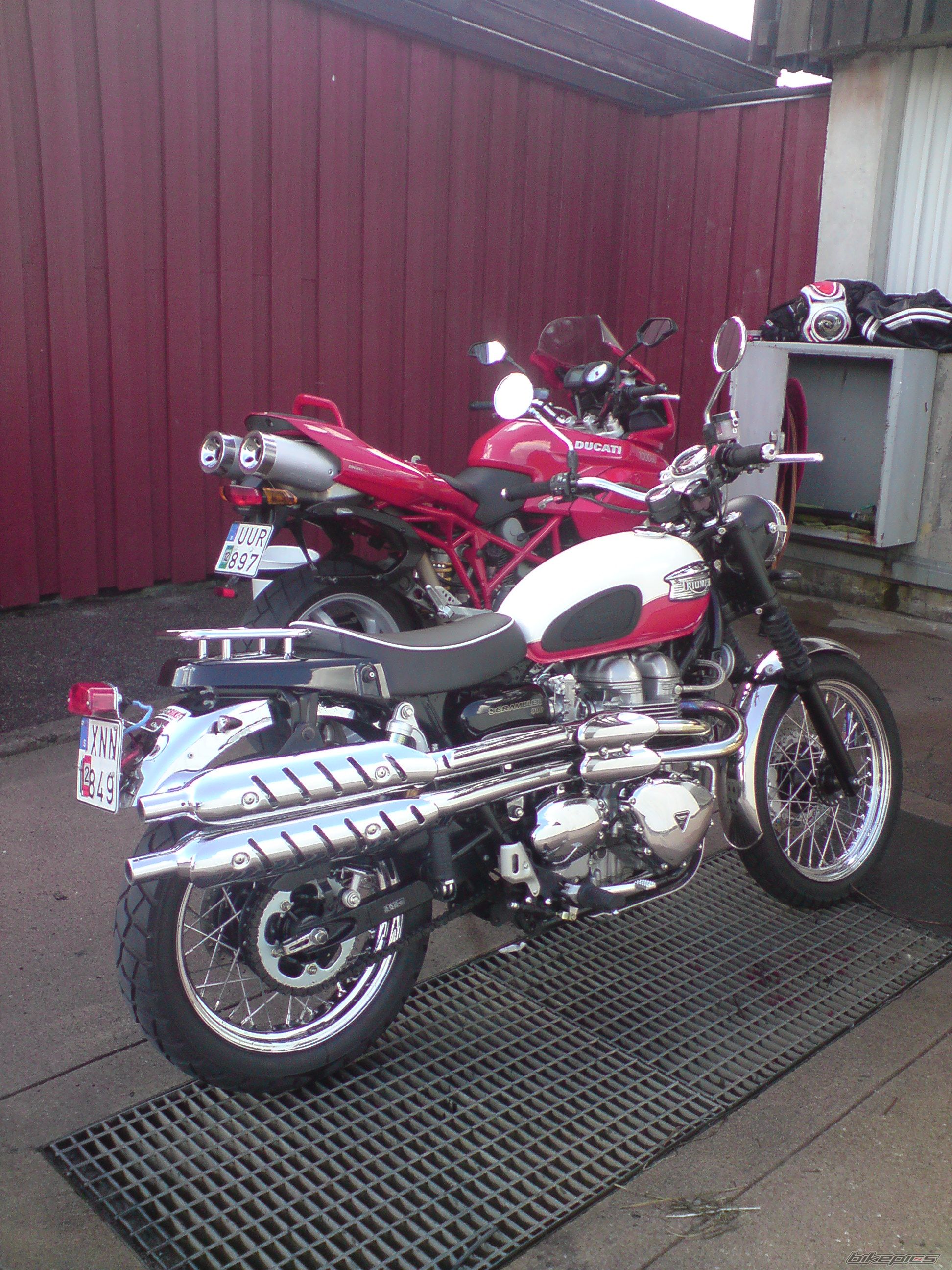 2006 TRIUMPH SCRAMBLER | Picture 1349469 motorcycle photo