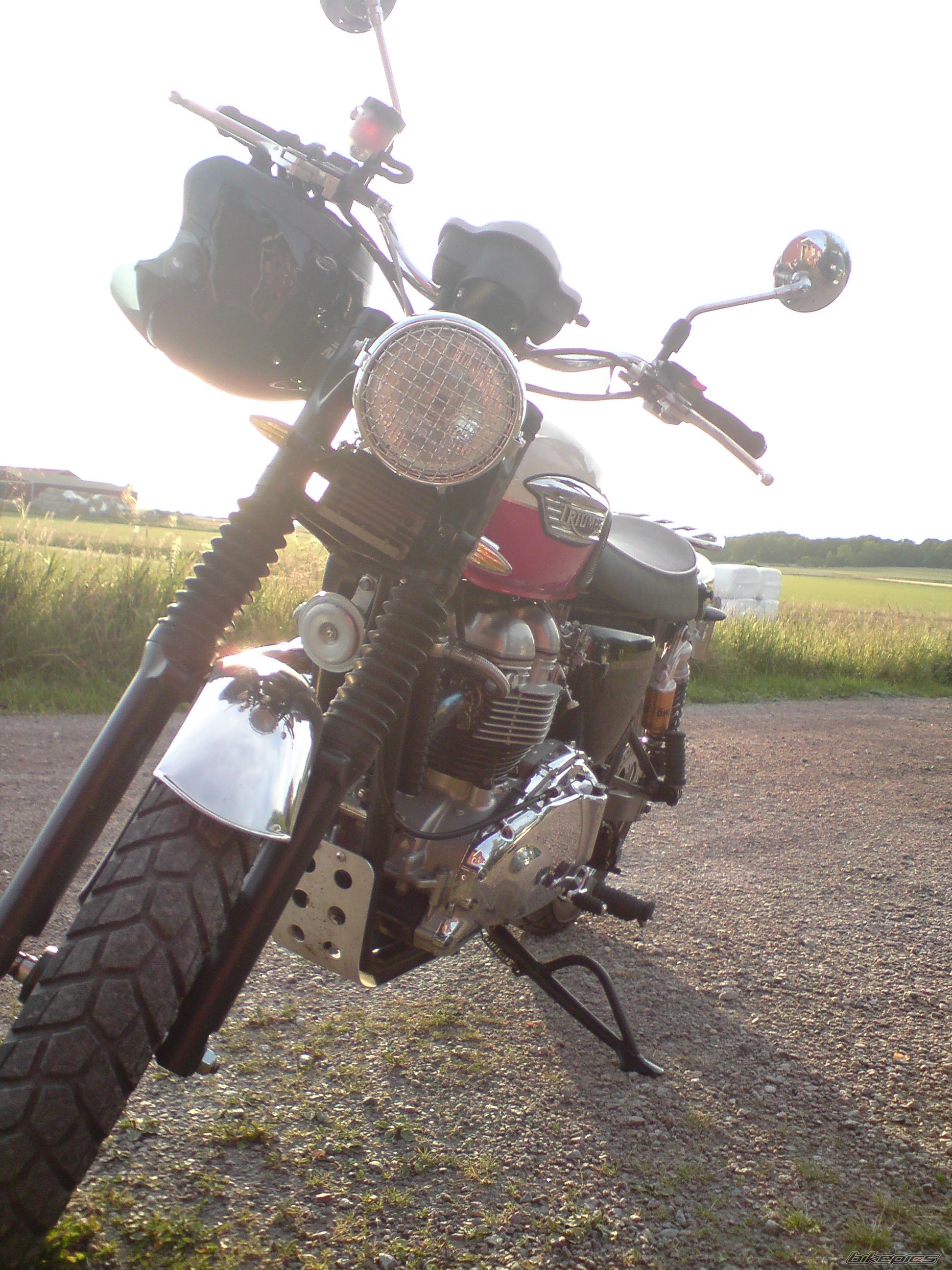 2006 TRIUMPH SCRAMBLER | Picture 1349475 motorcycle photo