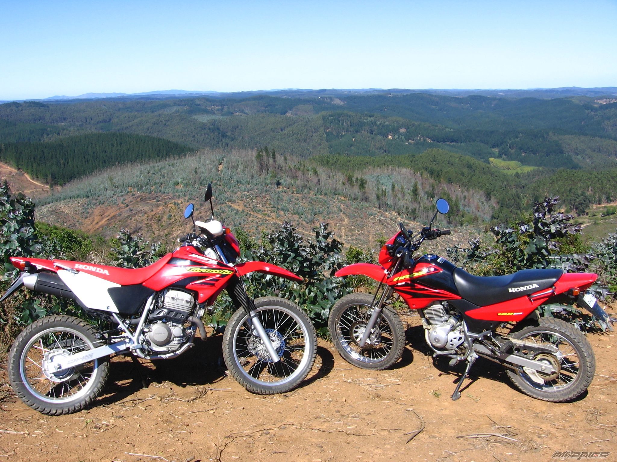2007 HONDA XR TORNADO | Picture 1350477 motorcycle photo