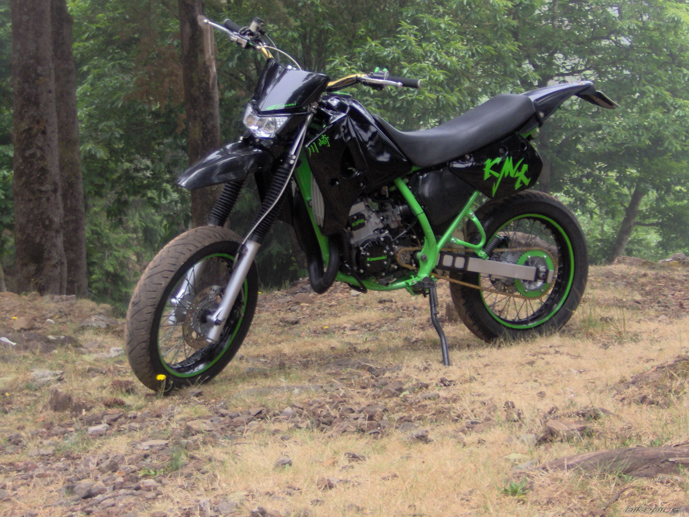 2001 KAWASAKI KMX 125 | Picture 1350773 motorcycle photo