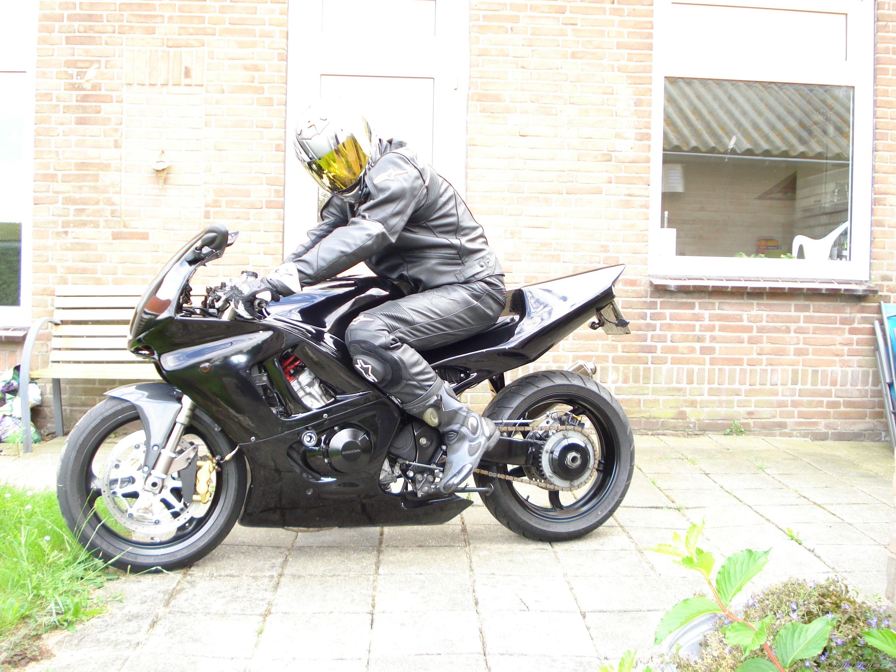 1995 HONDA CBR 600 | Picture 1351103 motorcycle photo