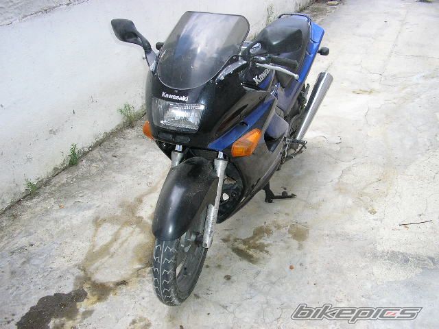 1993 KAWASAKI ZZR 250 | Picture 1351255 motorcycle photo