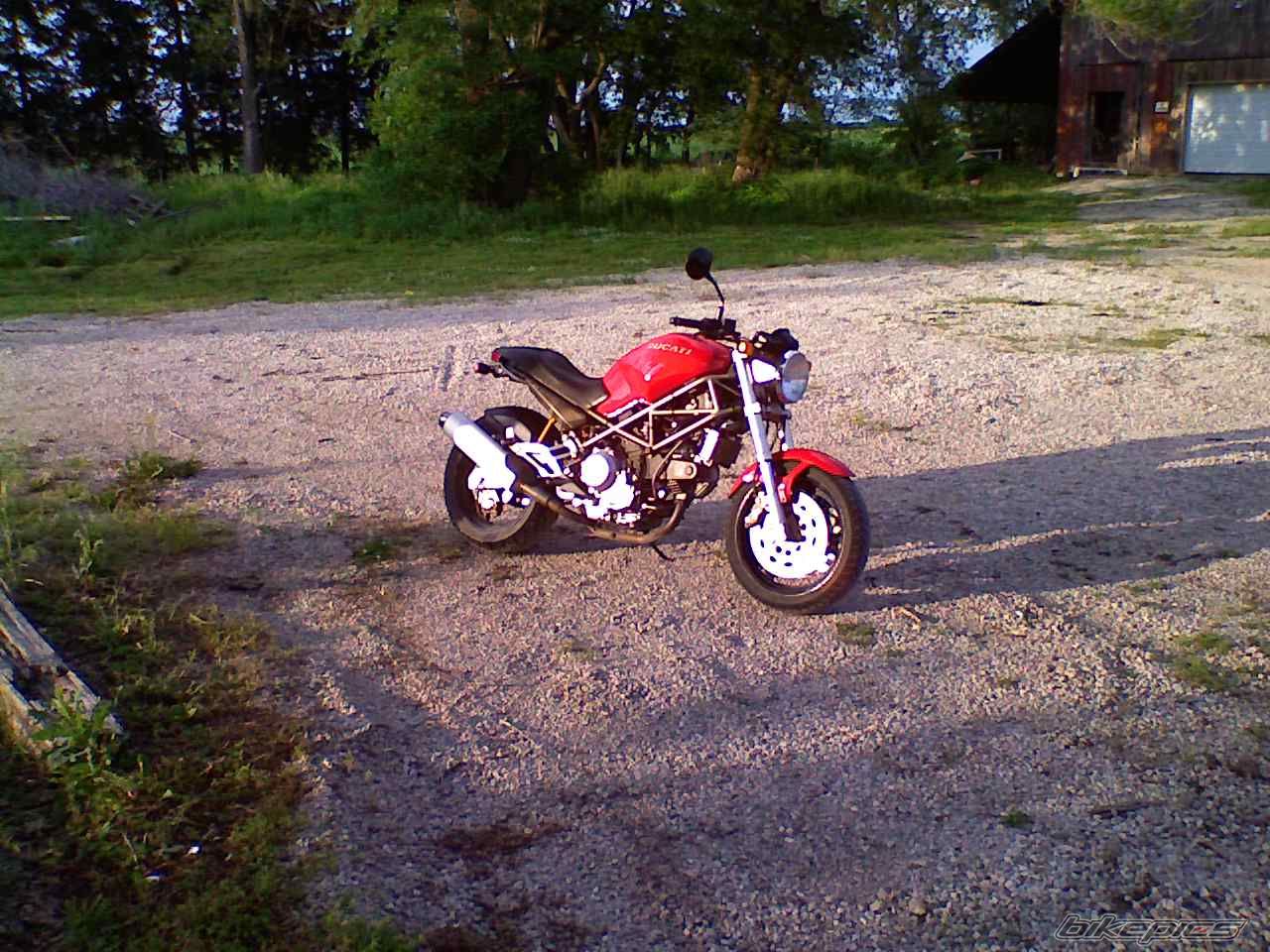 1994 DUCATI MONSTER 900 | Picture 1351452 motorcycle photo
