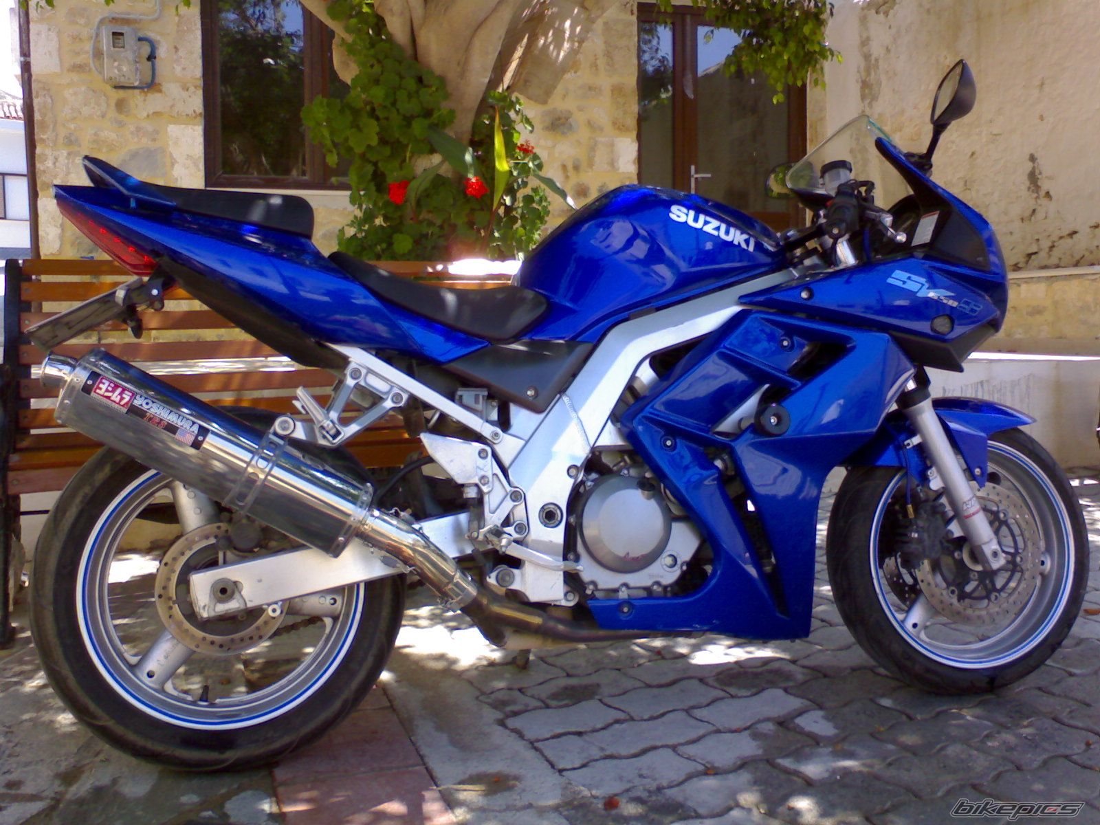 2003 SUZUKI SV 650S | Picture 1351612 motorcycle photo