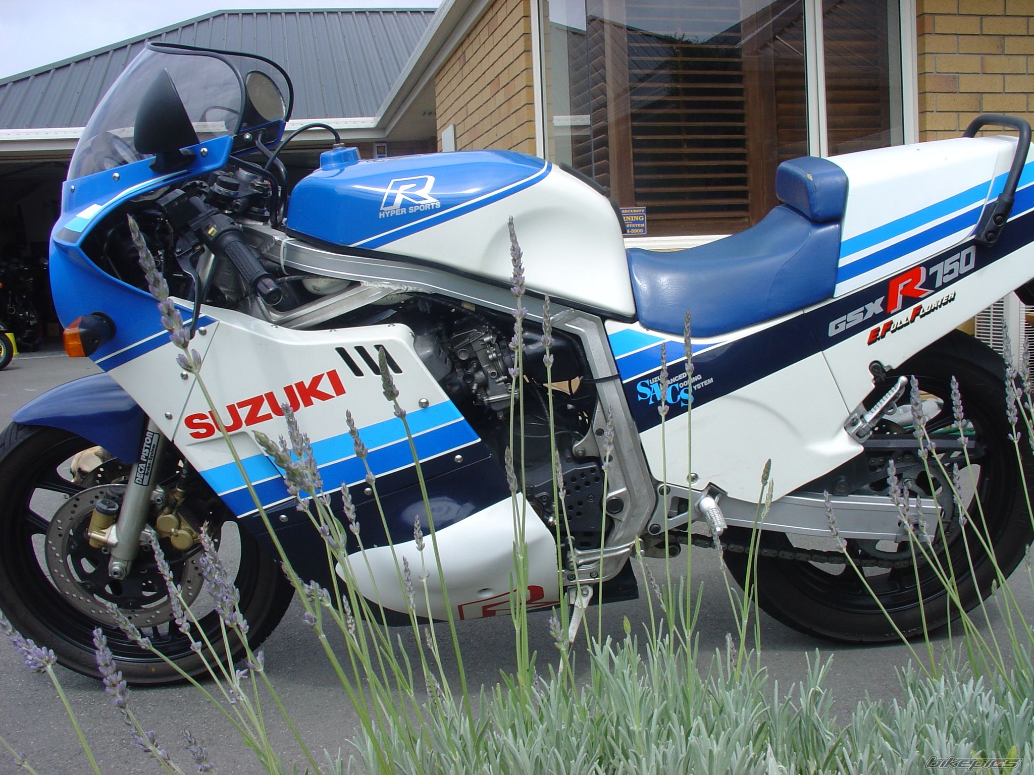 1985 SUZUKI GSX R 750 | Picture 1352518 motorcycle photo