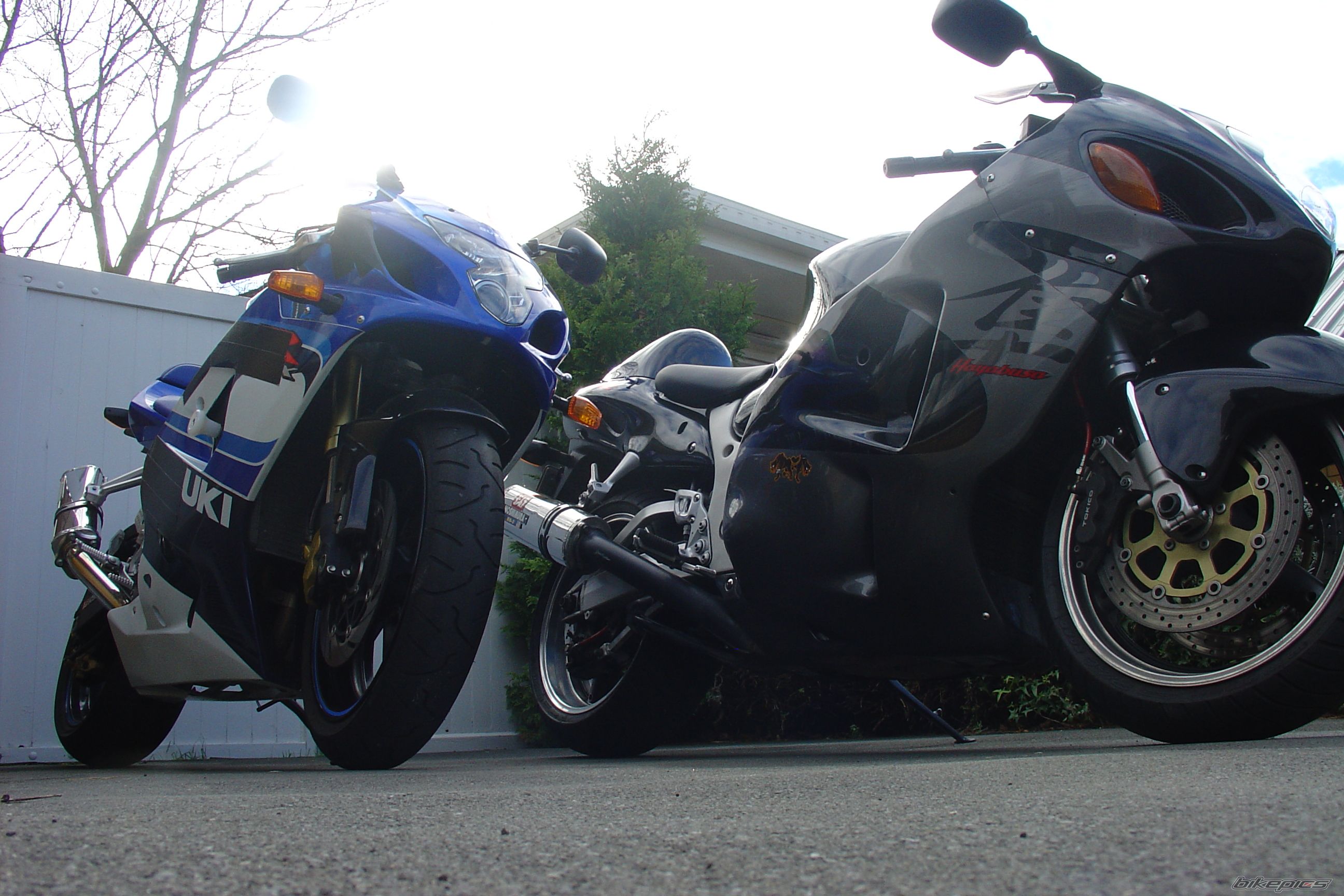 1999 SUZUKI HAYABUSA | Picture 1352543 motorcycle photo