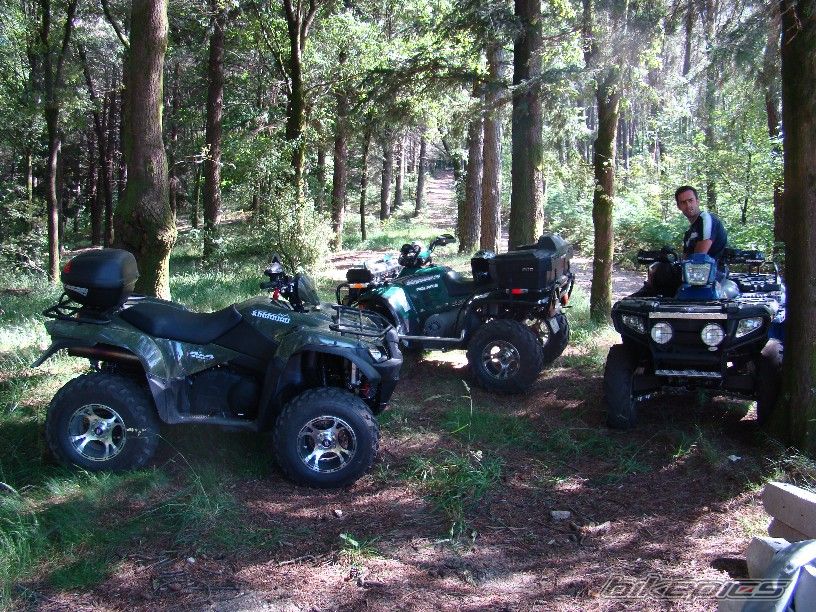 2008 SUZUKI KING QUAD | Picture 1352602 motorcycle photo