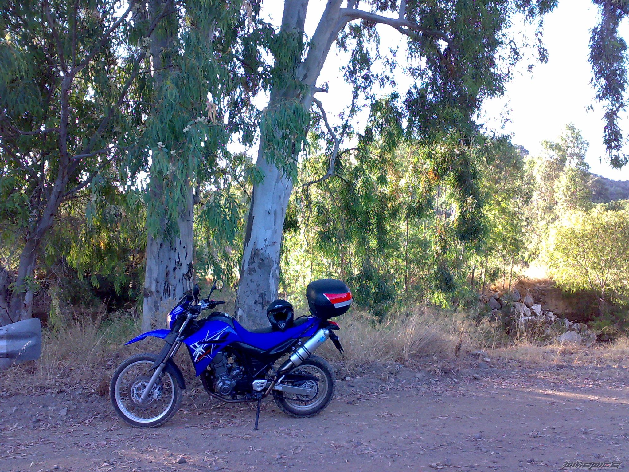 2005 YAMAHA XT 660 | Picture 1352697 motorcycle photo