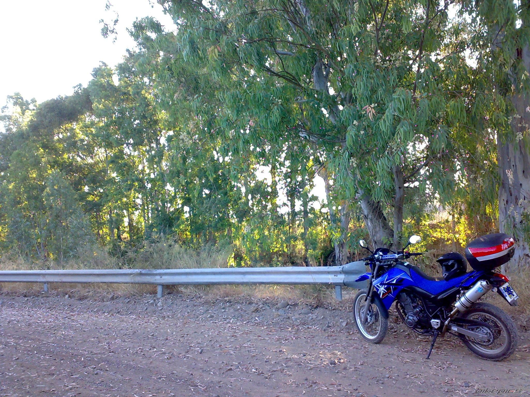 2005 YAMAHA XT 660 | Picture 1352699 motorcycle photo