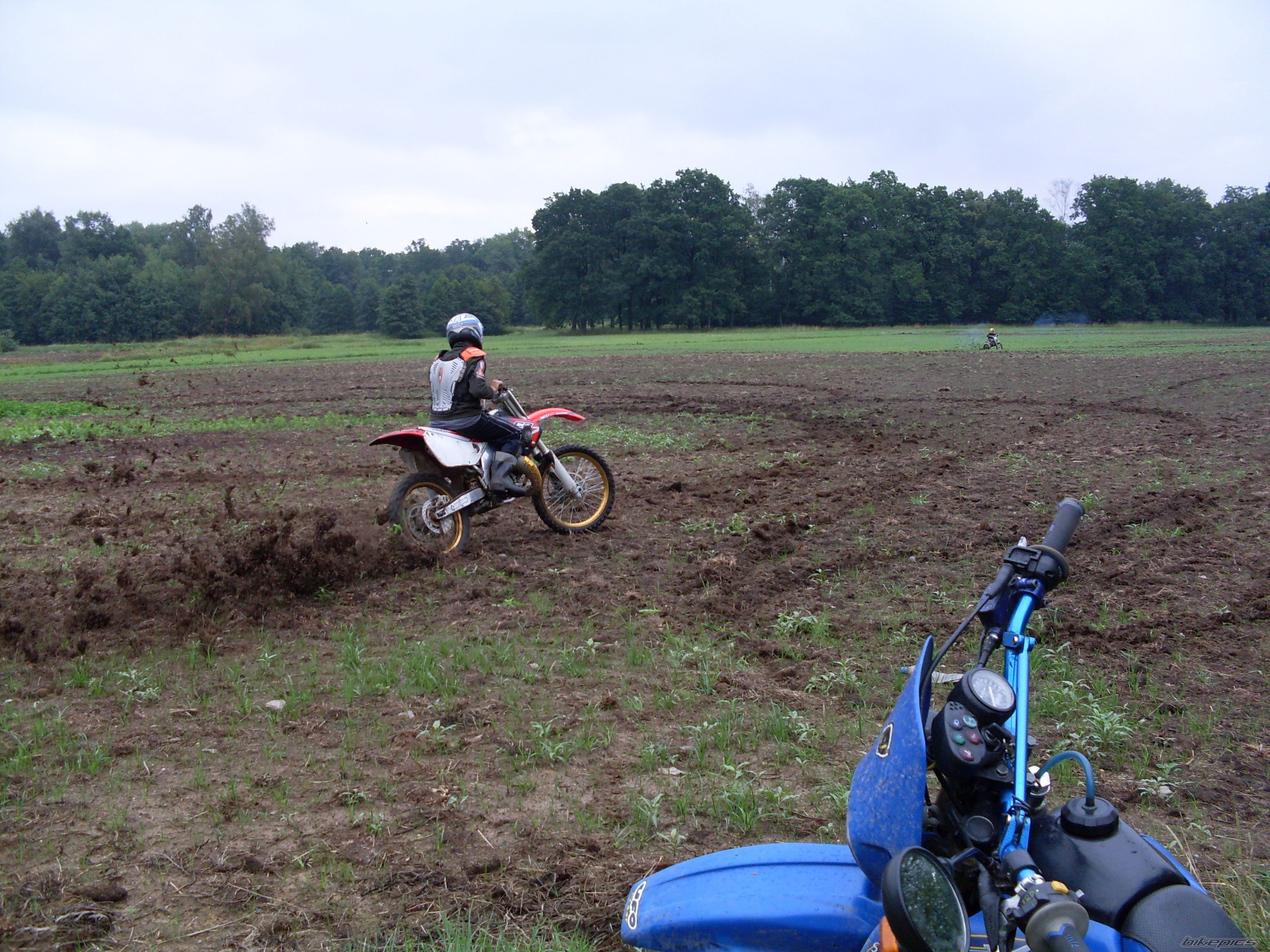 2000 HONDA CR 125 | Picture 1352700 motorcycle photo