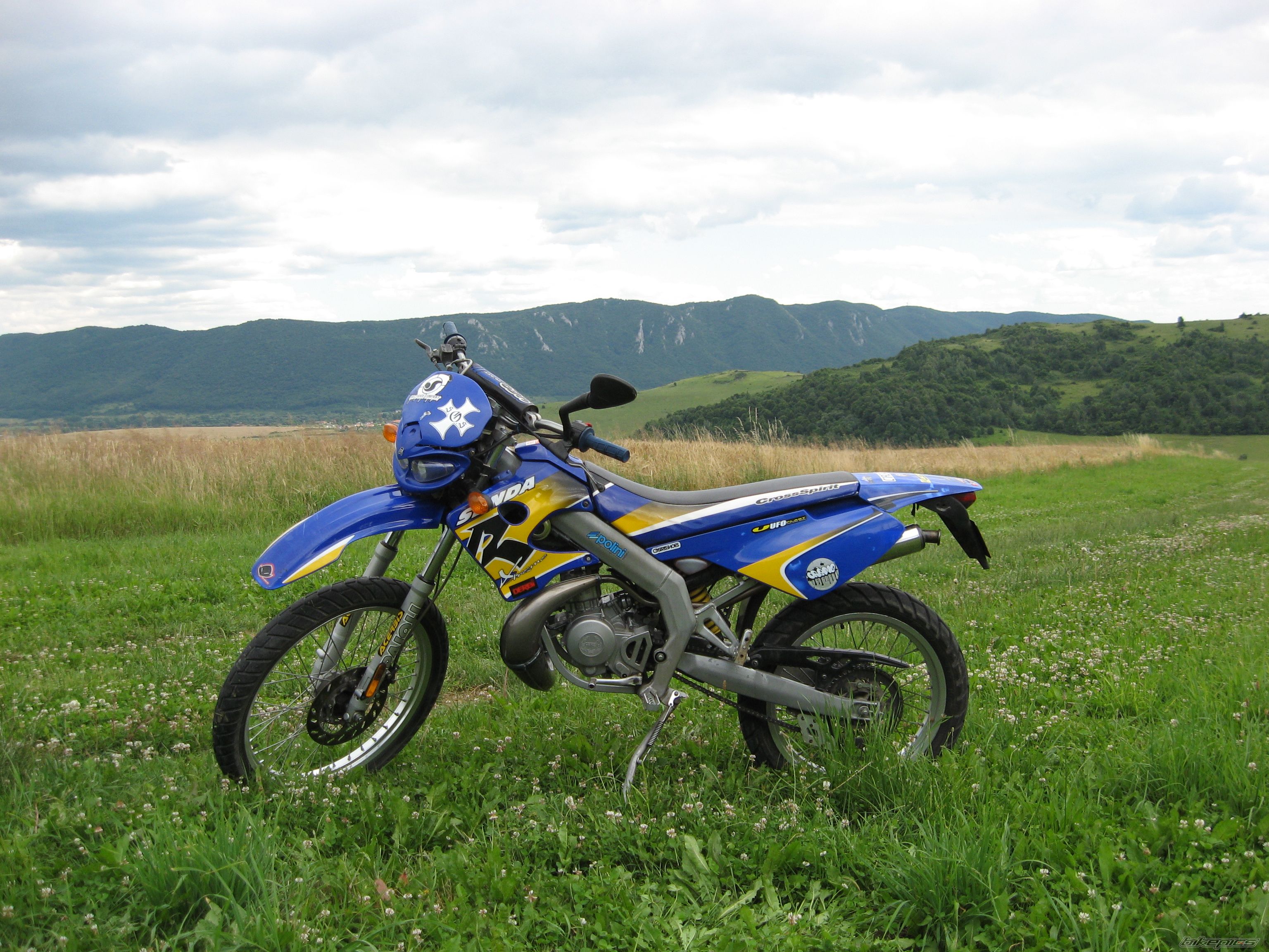 2003 DERBI SENDA X TREME R 50 | Picture 1352914 motorcycle photo
