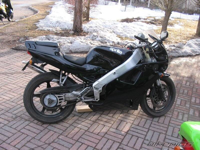 1991 APRILIA AF1 FUTURA 125 | Picture 135307 motorcycle photo