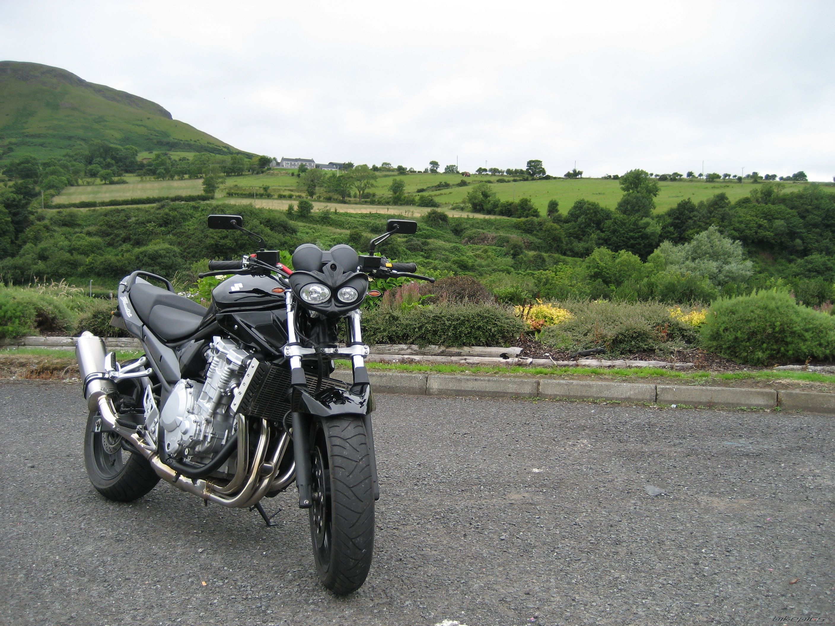 2007 SUZUKI BANDIT 650 | Picture 1353205 motorcycle photo