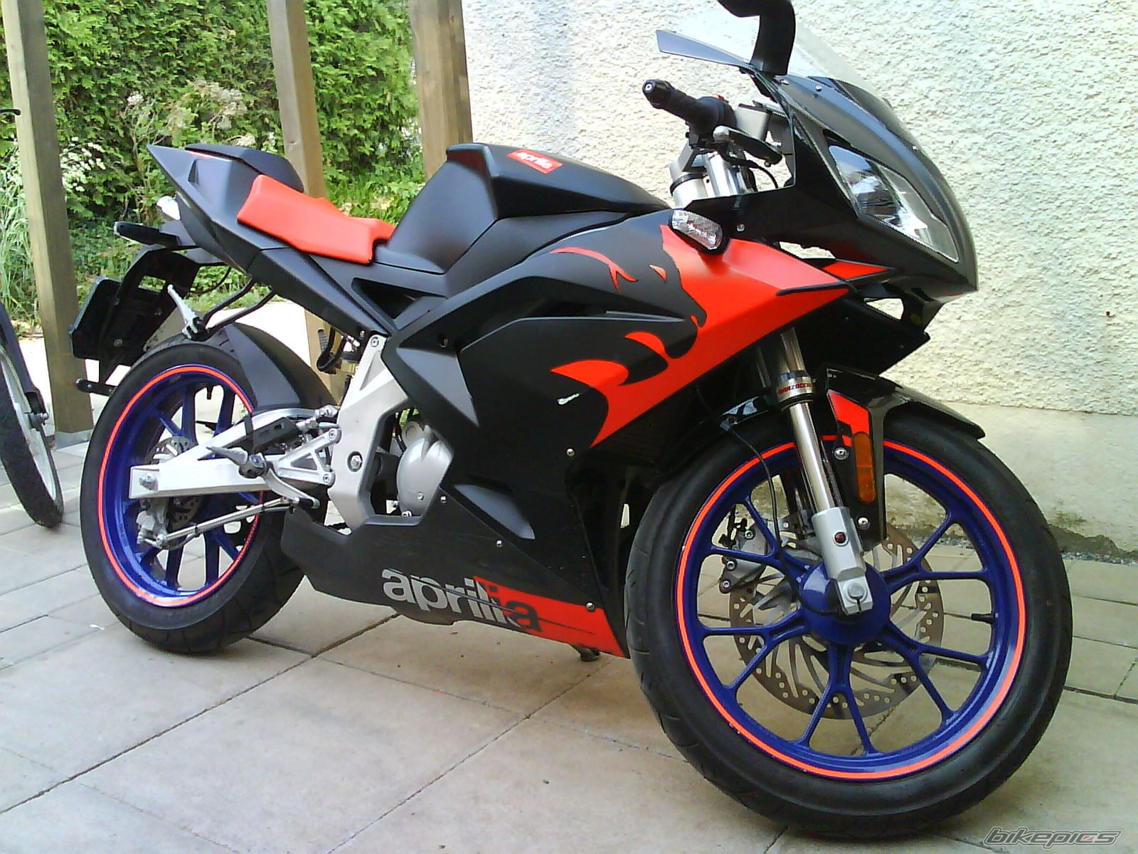 2008 APRILIA RS 50 | Picture 1353582 motorcycle photo