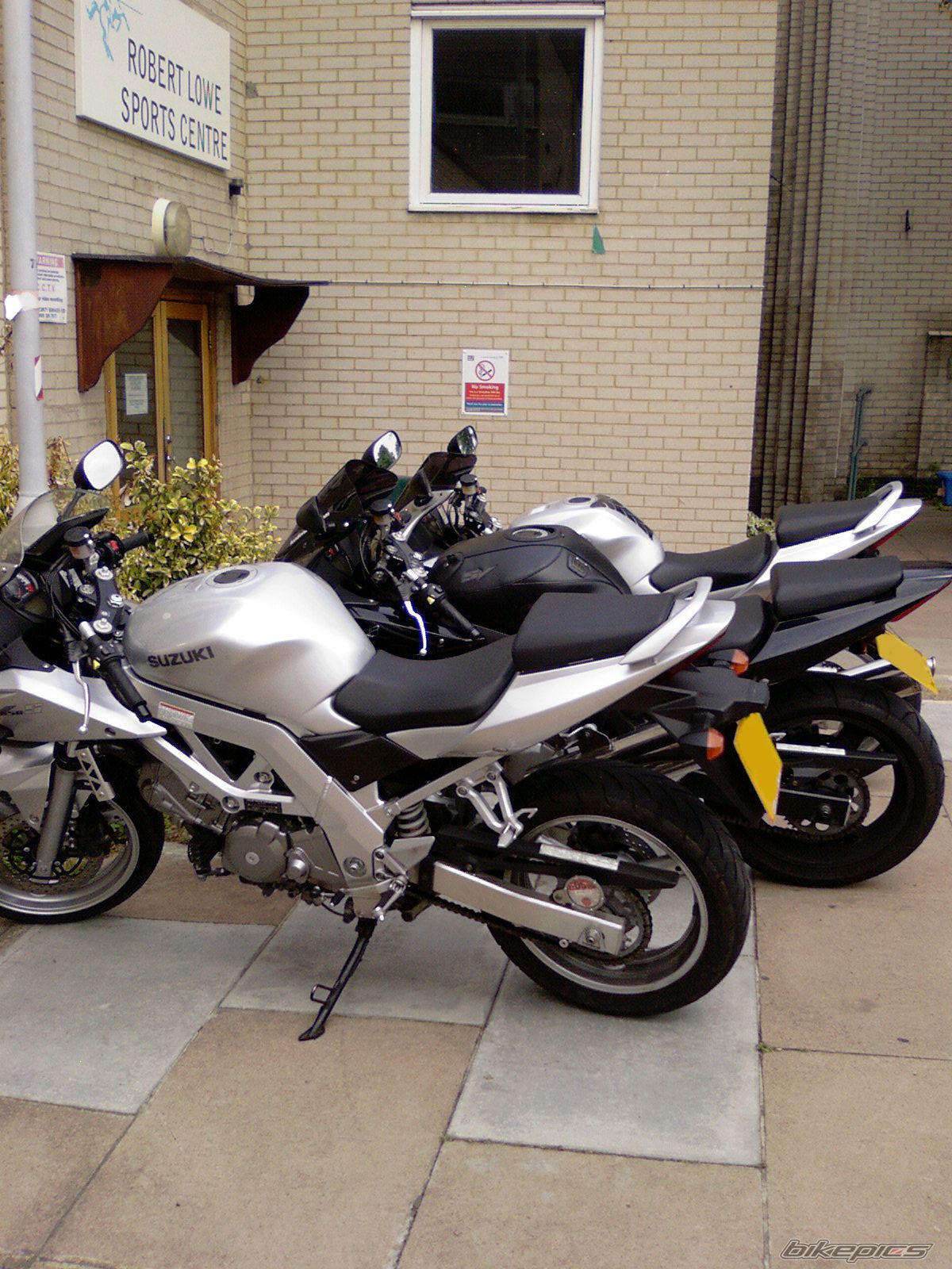 2005 SUZUKI SV 650S | Picture 1353605 motorcycle photo
