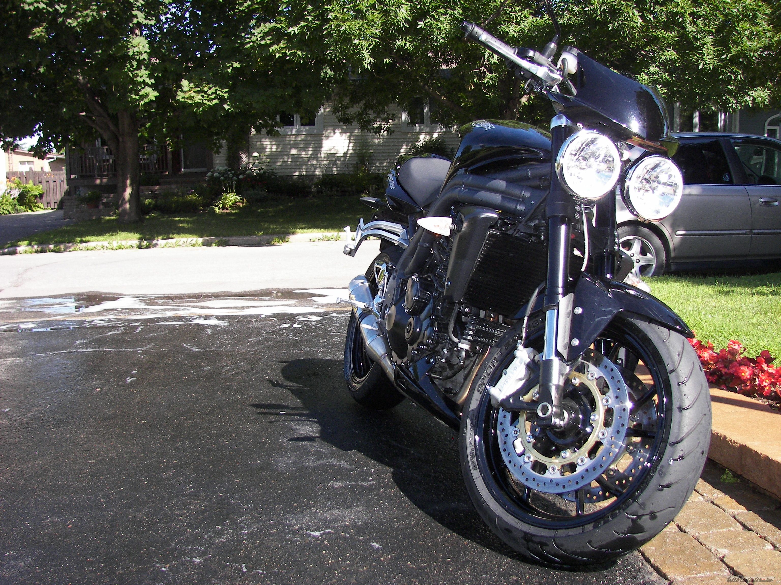 2008 TRIUMPH SPEED TRIPLE | Picture 1353921 motorcycle photo
