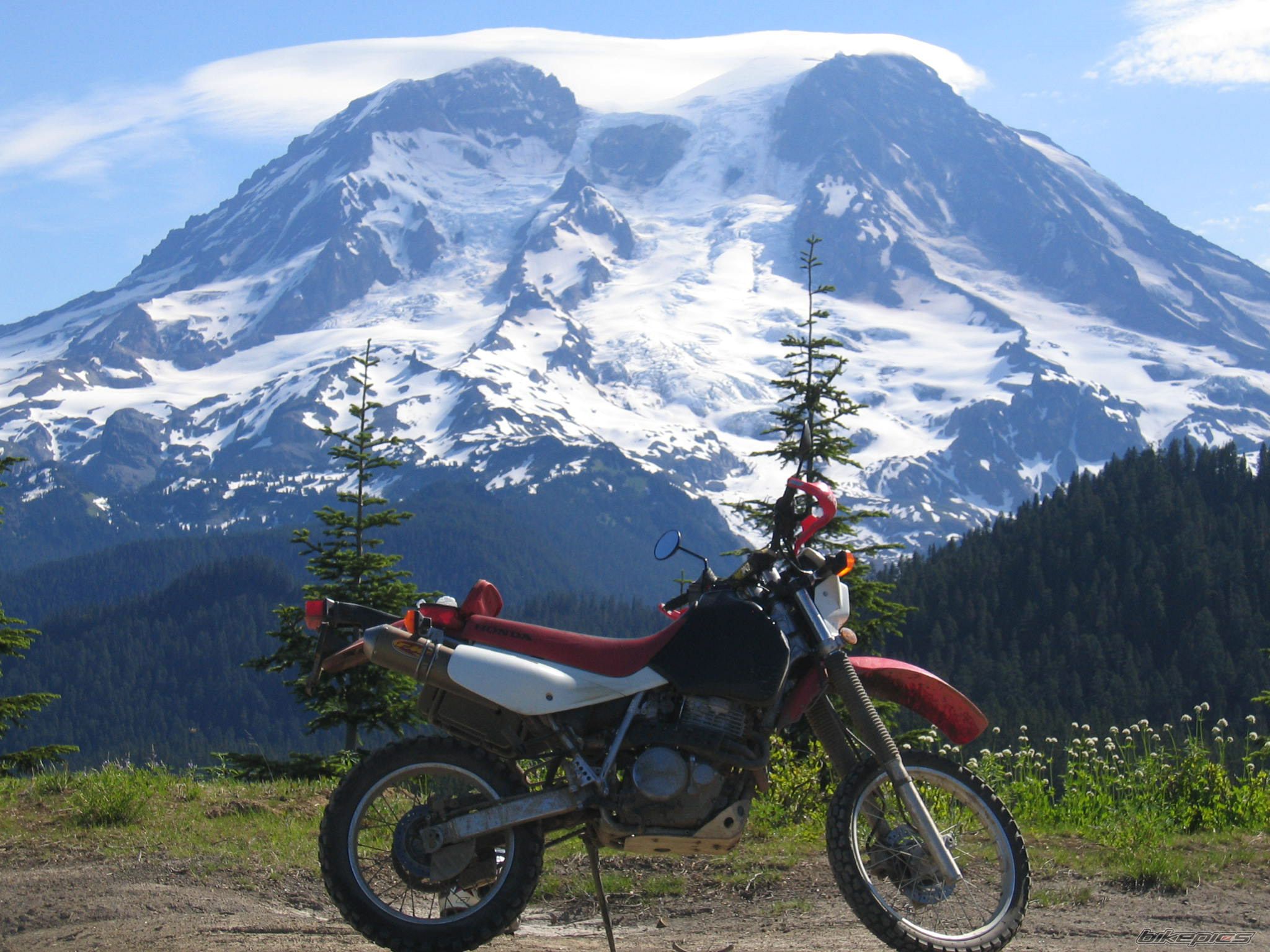 2008 HONDA XR 650 | Picture 1354872 motorcycle photo