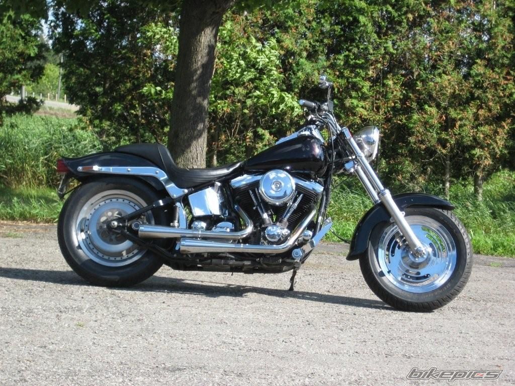 1991 HARLEY DAVIDSON FXSTC | Picture 1355002 motorcycle photo