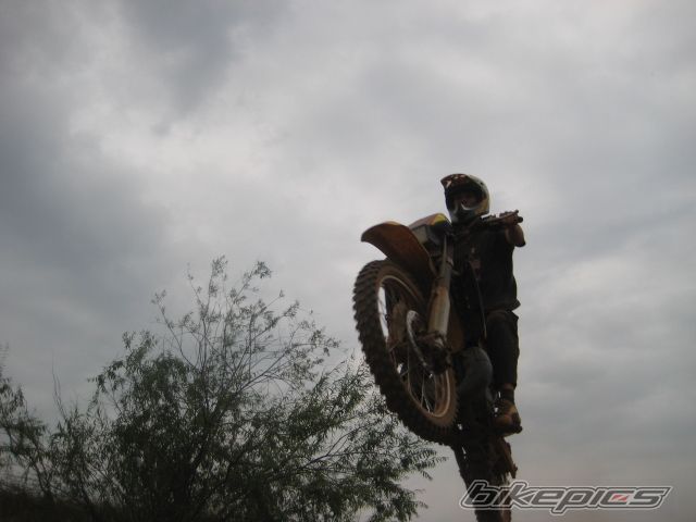 2001 APRILIA ETX 125 | Picture 1355380 motorcycle photo
